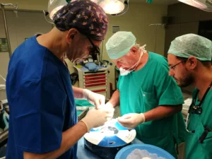 First cases in Greece with the new HAART 300 Aortic Annuloplasty Device