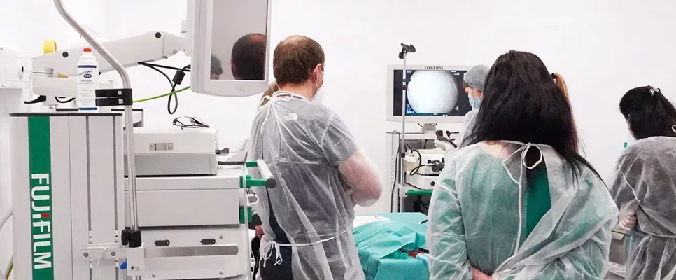 Practical skills and clinical interpretation in digestive endoscopy 1