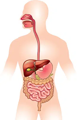 Digestive Tube Conditions