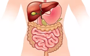 Digestive Tube Conditions