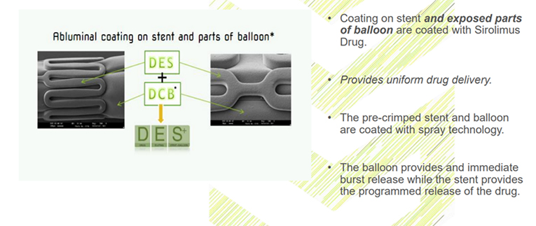 Sirolimus coated Balloon Catheter 5