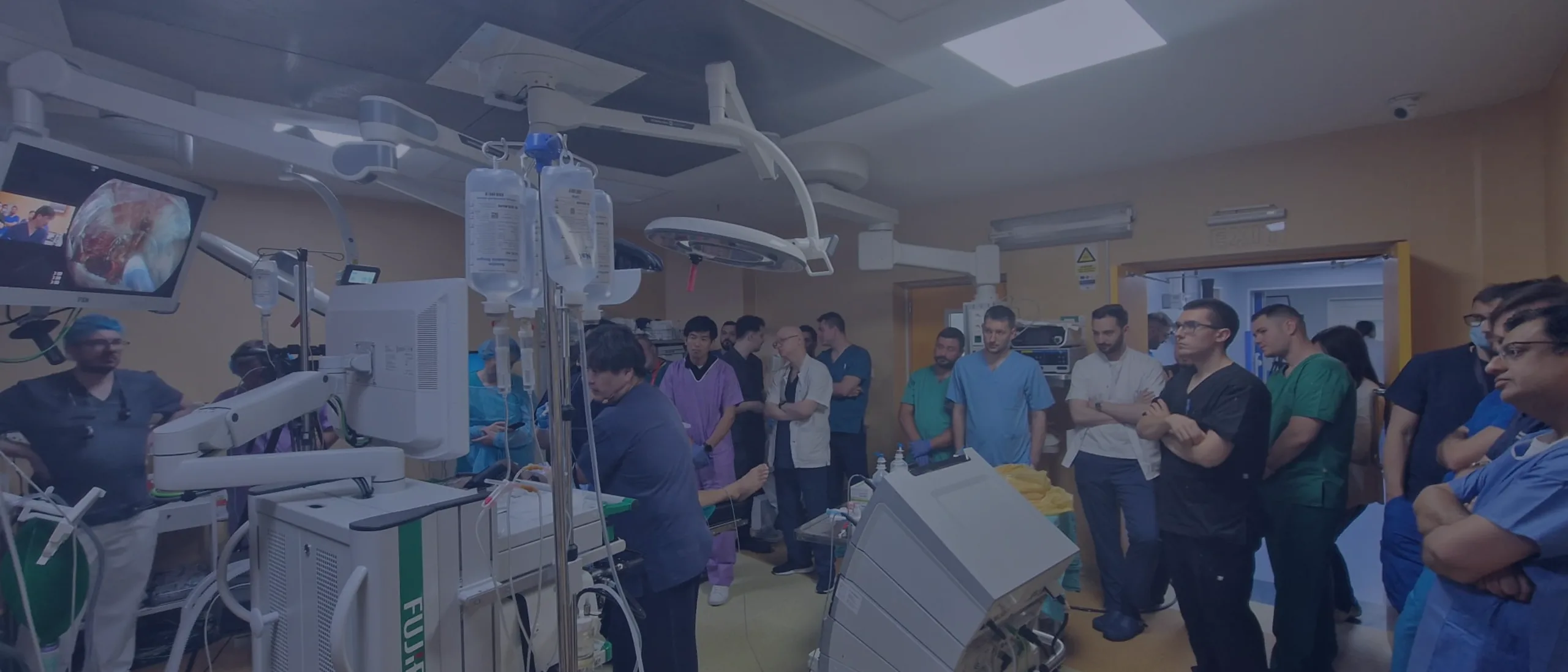 Pushing the Boundaries of Endoscopy Care in Romania